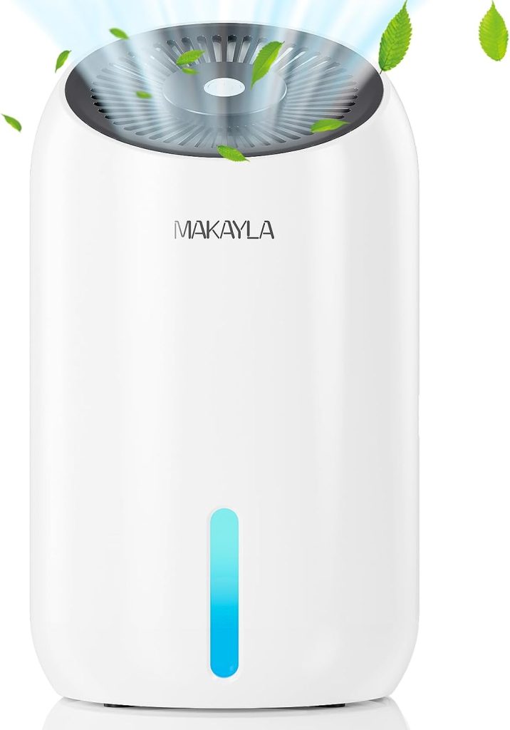 Makayla Dehumidifier 30 OZ Review