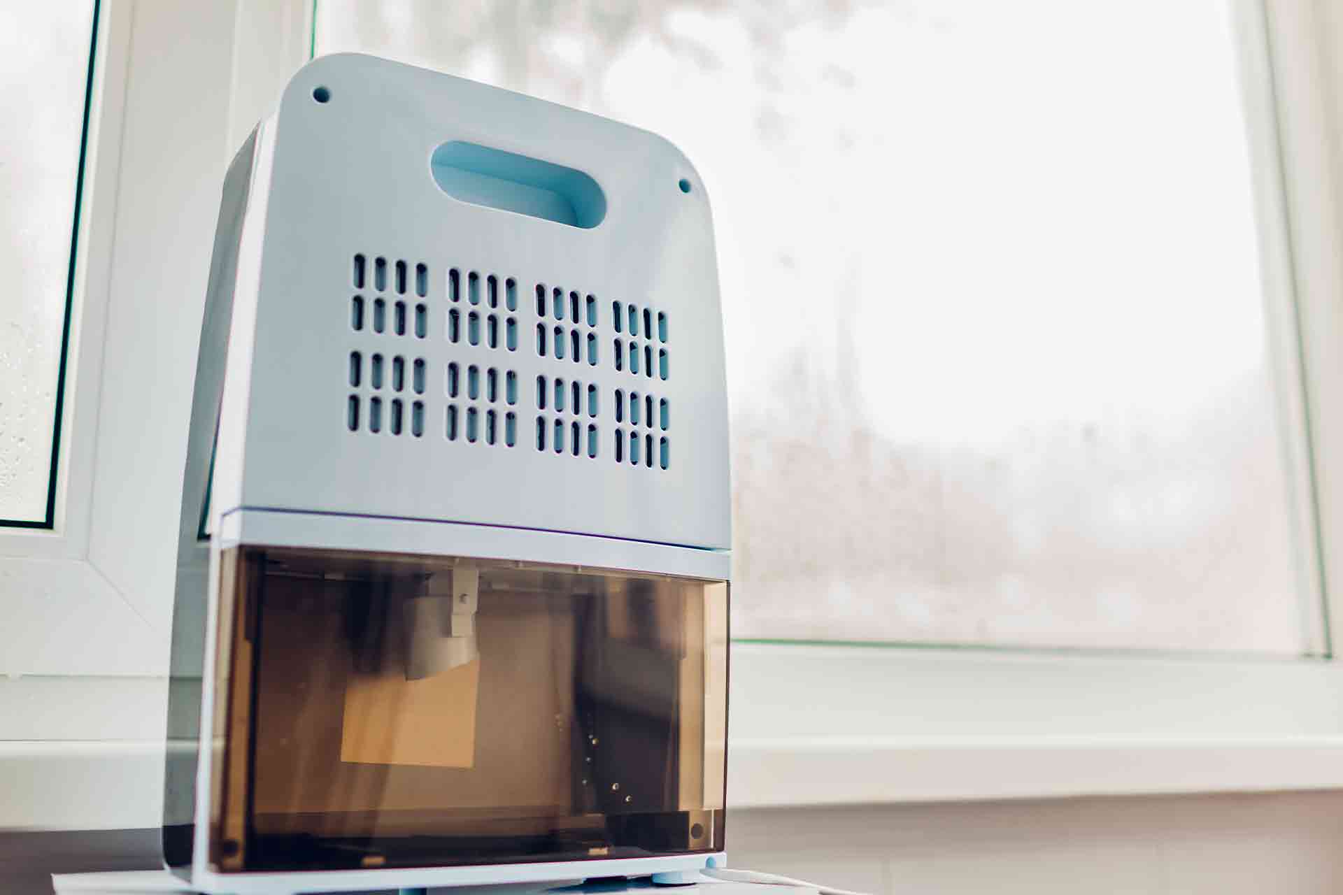 Is it Worth Running a Dehumidifier?