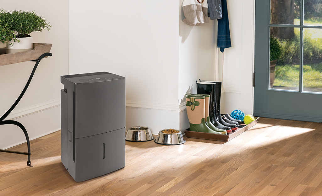 Tips for Choosing the Perfect Dehumidifier for Your Home